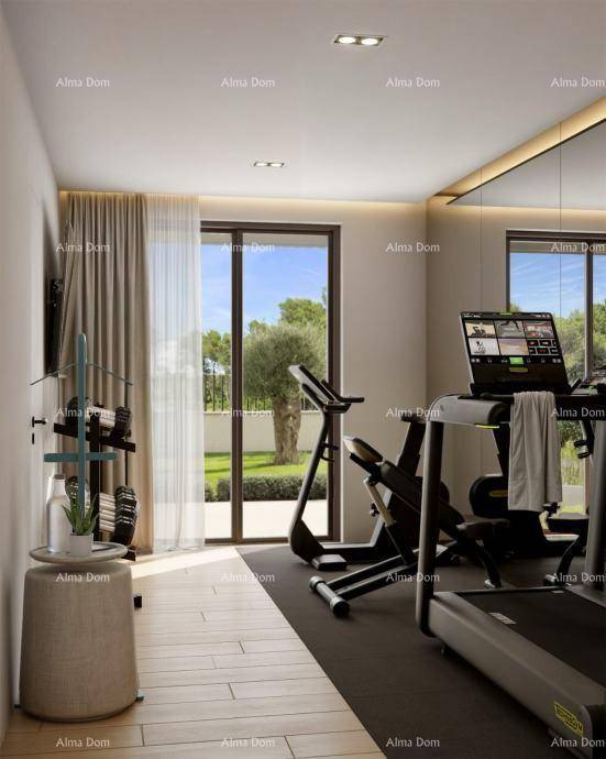 Privater Fitnessraum mit modernen Trainingsgeräten und großen Fenstern zum Garten.