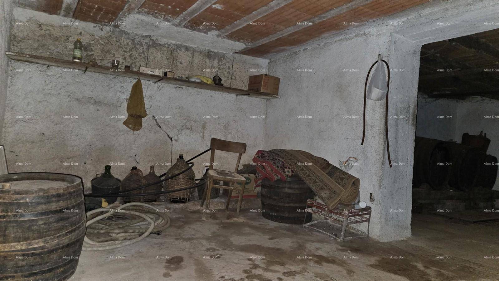 Traditioneller Weinkeller mit Holzfässern und Flaschen, ideal zur Lagerung von Wein.