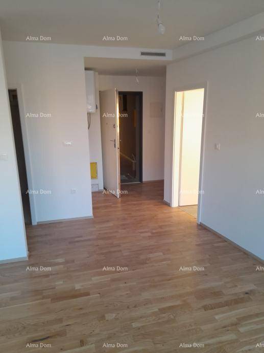 Heller Eingangsbereich mit Holzboden, der den Zugang zu verschiedenen Räumen ermöglicht.