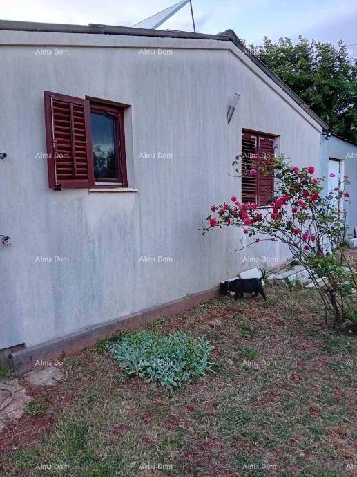 Seitenansicht des Hauses mit Fenstern, Fensterläden und einem kleinen Gartenbereich.