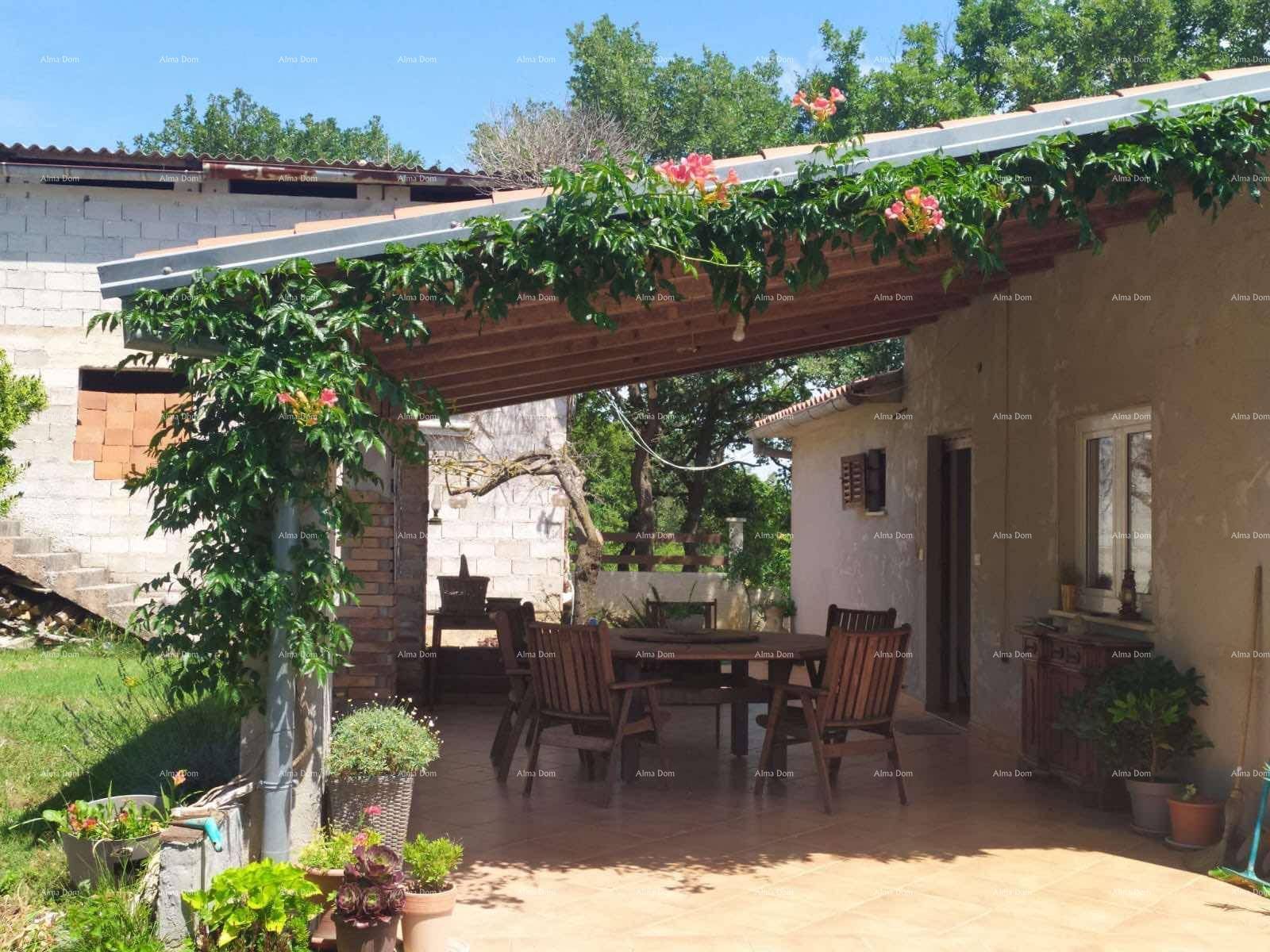 Überdachte Terrasse mit Esstisch und Stühlen, umgeben von Kletterpflanzen.