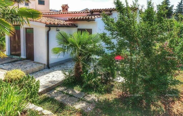 Gepflegter Gartenbereich mit Palmen, Sträuchern und einem kleinen Nebengebäude mit Terrasse.