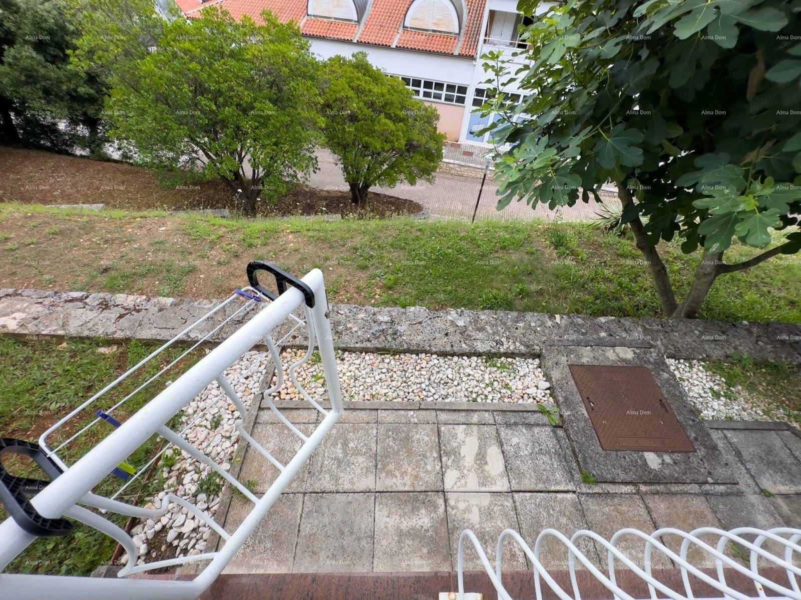 Blick von der Terrasse auf eine grüne Rasenfläche mit Bäumen und einem Wäscheständer.