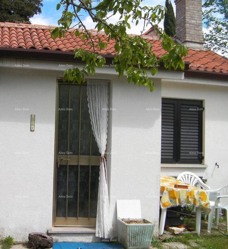 Kleiner Außenbereich mit Tisch und Stühlen neben dem Hauseingang, umgeben von Grün.
