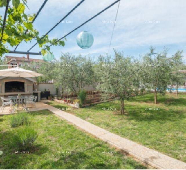Gepflegter Garten mit einem Steinweg, Olivenbäumen und einem Grillbereich im Hintergrund.