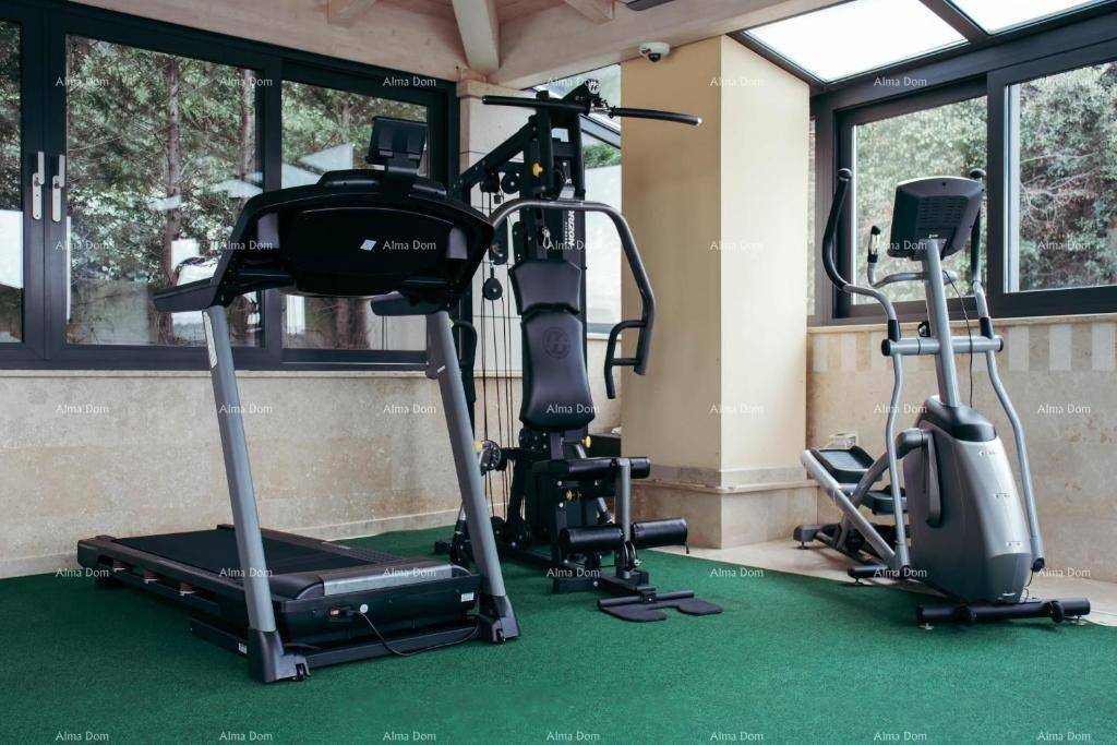 Gut ausgestatteter Fitnessraum mit Laufband, Kraftstation und Crosstrainer, umgeben von großen Fenstern.