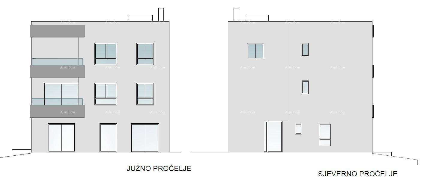 Slide 7