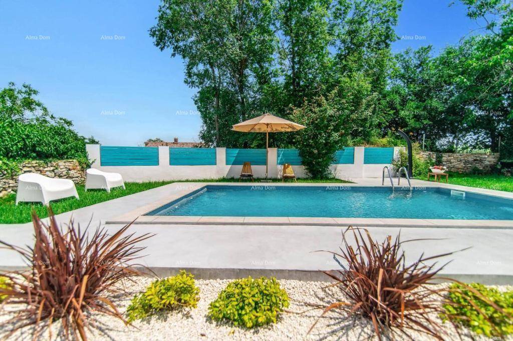 Entspannender Poolbereich im Garten mit Liegestühlen, umgeben von mediterranen Pflanzen und einer blauen Wand.