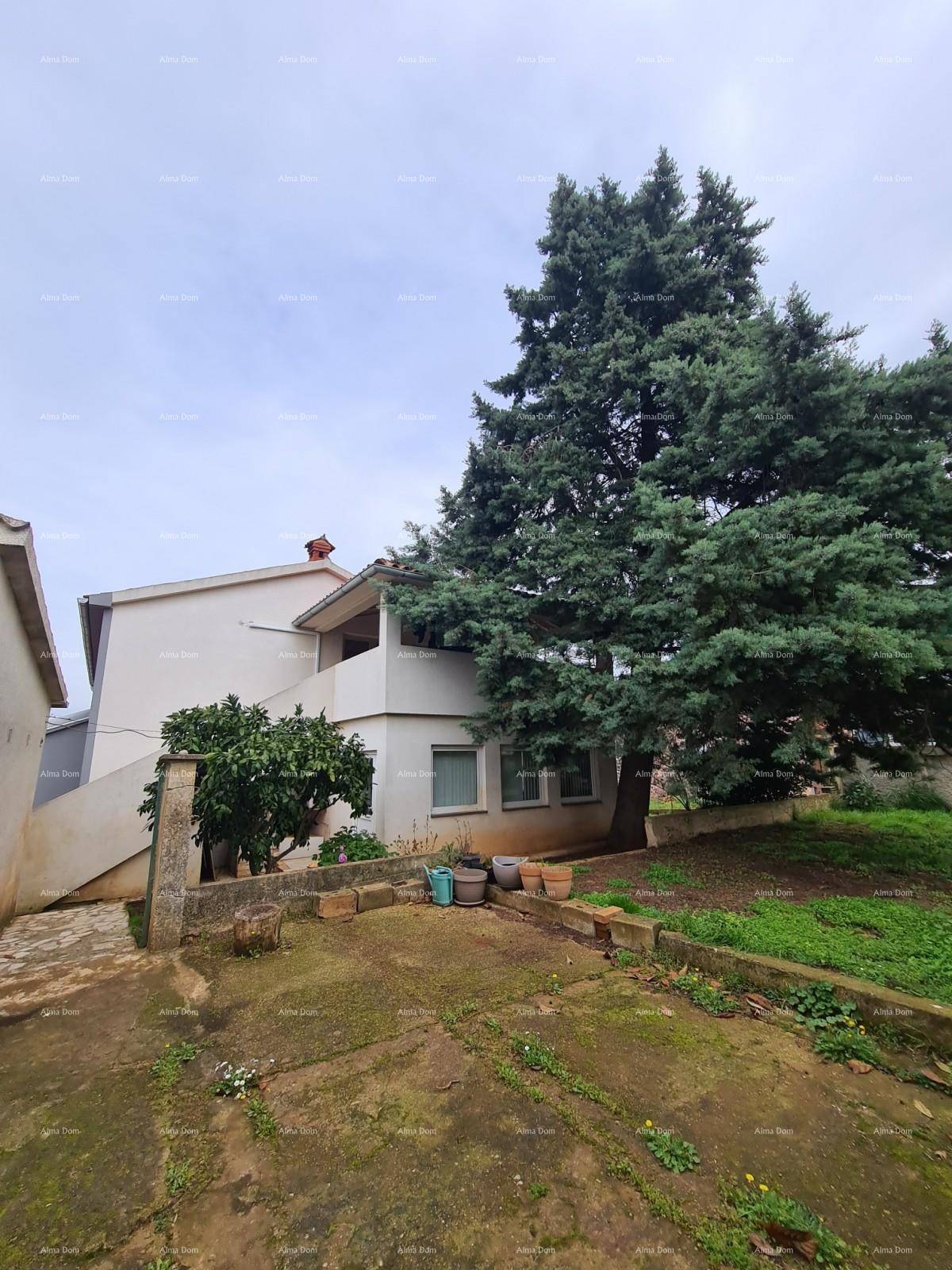 Älteres Haus mit großem Nadelbaum und einem ungepflegten Gartenbereich mit Topfpflanzen.