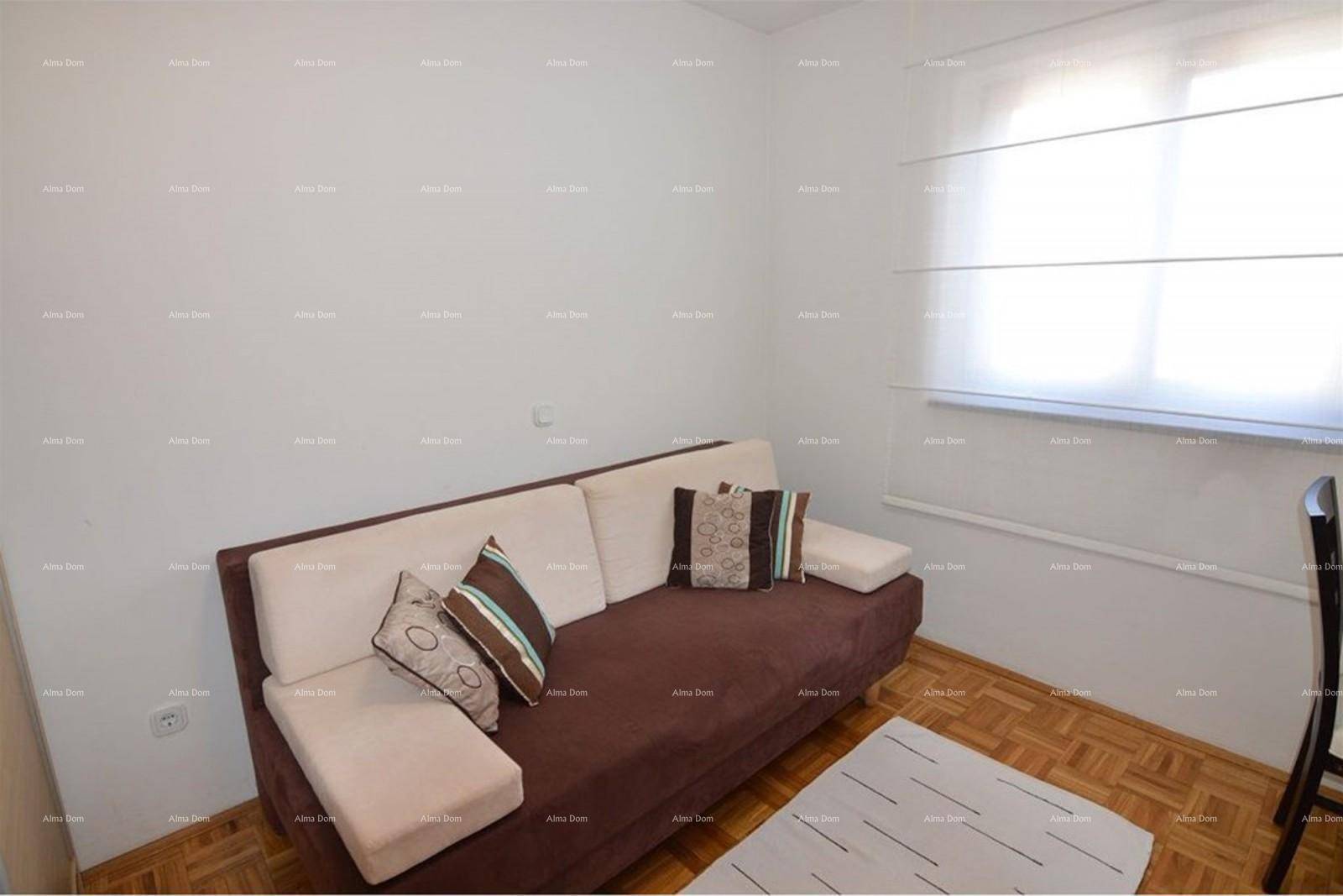 Gemütliches Zimmer mit Schlafsofa, Parkettboden und Fenster.