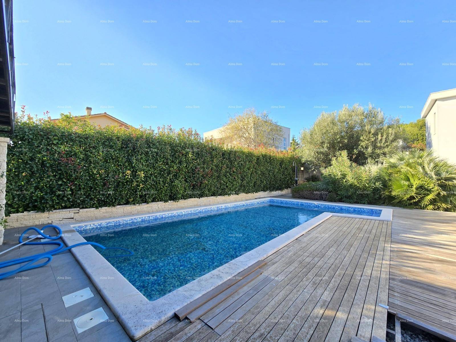 Poolbereich mit Holzdeck und umgebender Hecke unter strahlend blauem Himmel.