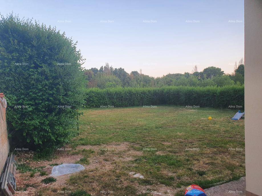 Großer Gartenbereich mit Rasen und hohen Hecken, ideal für Freizeitaktivitäten.