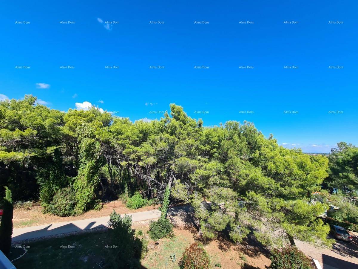 Panoramablick ins Grüne von einem Balkon, umgeben von üppiger Vegetation.
