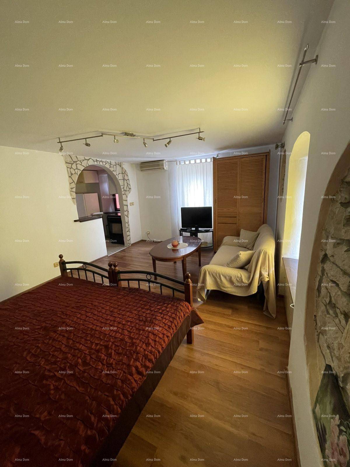 Geräumiger Wohnbereich mit Holzboden, Bett, Sofa und Zugang zur Küche durch einen Steinbogen.