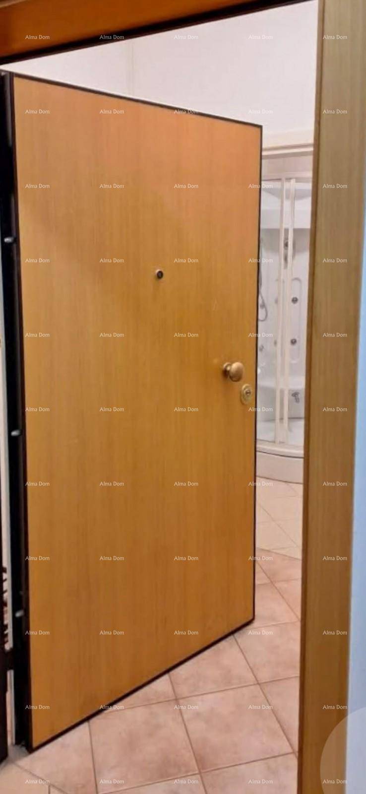 Offene Holzeingangstür, die einen Blick auf eine Duschkabine in einem angrenzenden Raum freigibt.