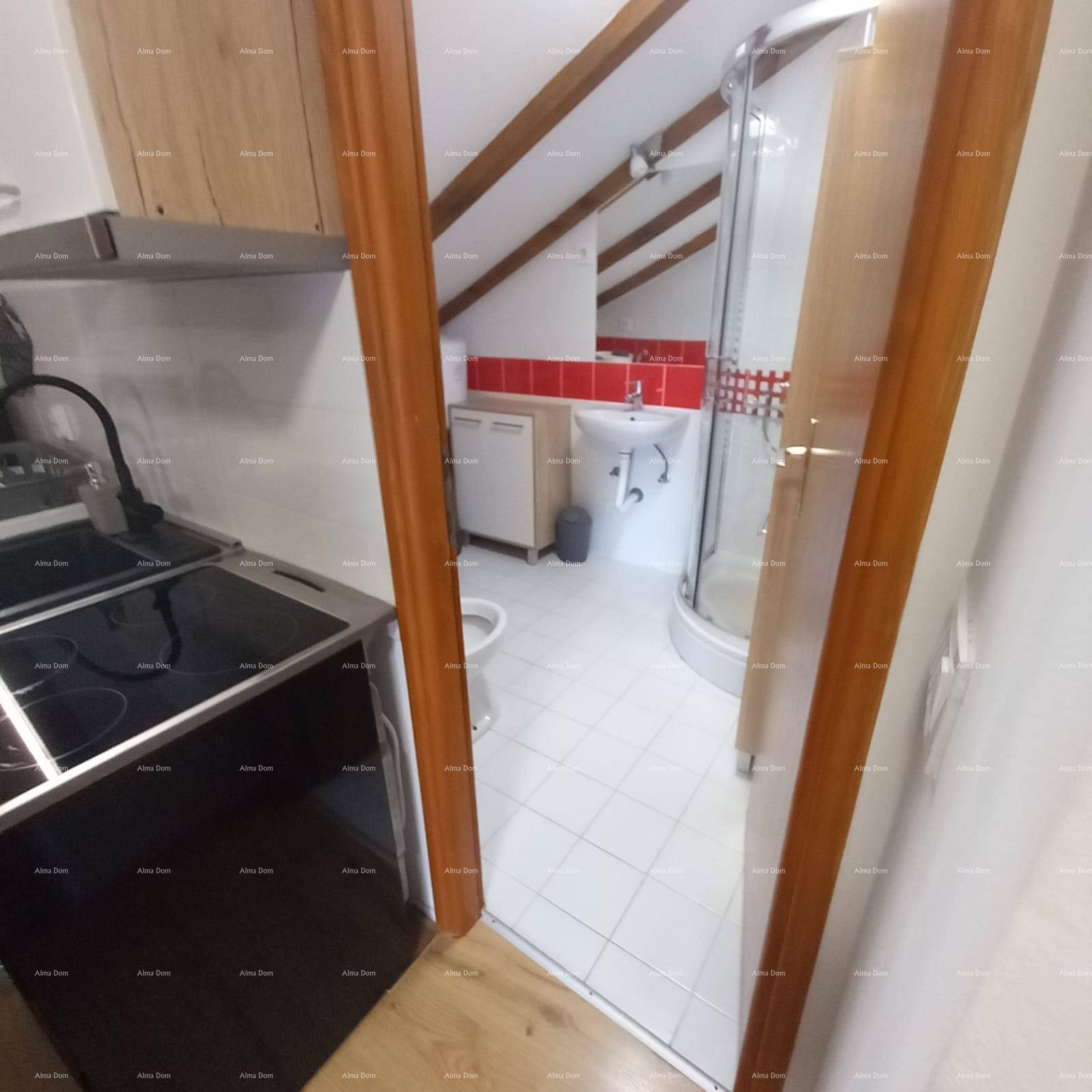 Badezimmer mit Duschkabine, WC und Waschbecken, sichtbar vom Küchenbereich aus.