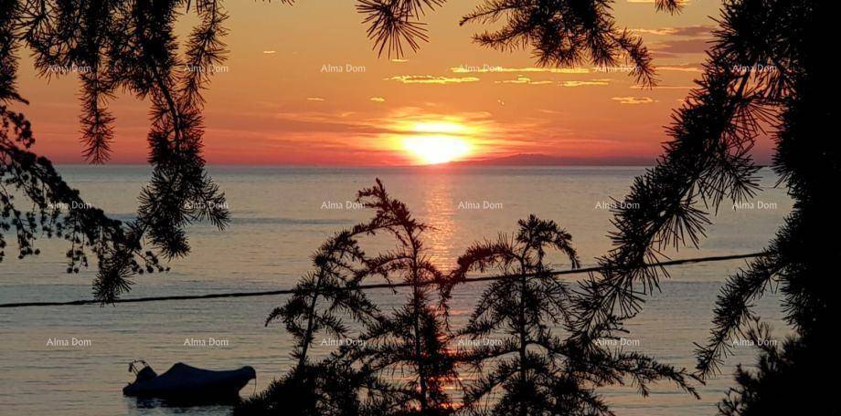 Spektakulärer Sonnenuntergang über dem Meer, eingerahmt von Baumzweigen.