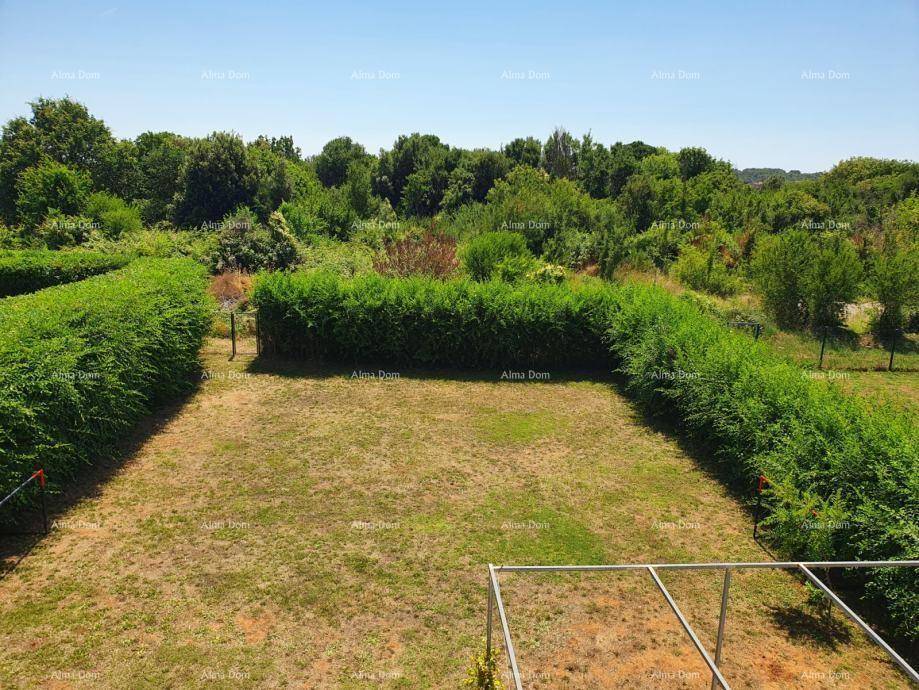 Blick von oben auf den Gartenbereich mit gepflegten Hecken und Rasenfläche.