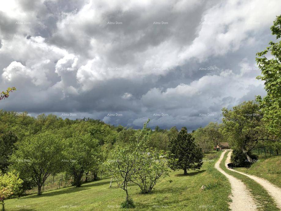 Ländliche Landschaft mit Feldweg, Bäumen und weiten grünen Flächen unter bewölktem Himmel.