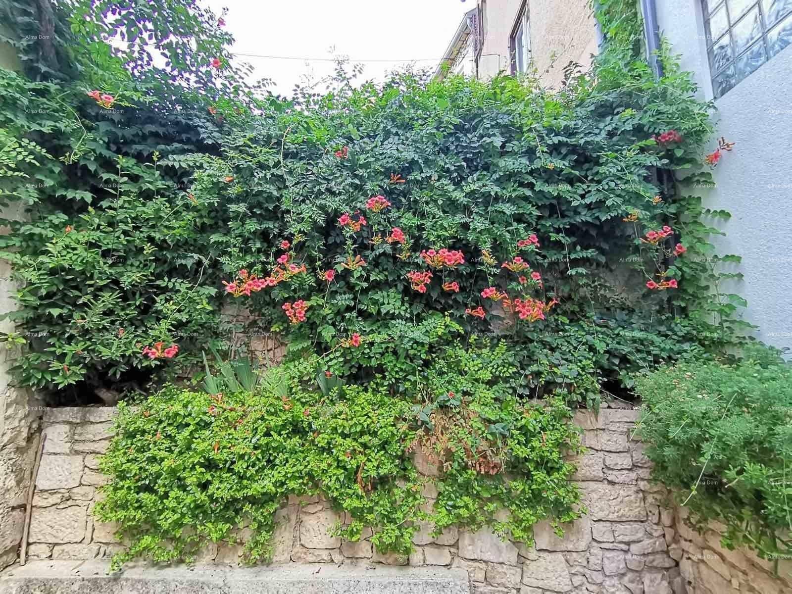 Grüne Wand aus Kletterpflanzen mit roten Blüten und Steinmauer im Gartenbereich.