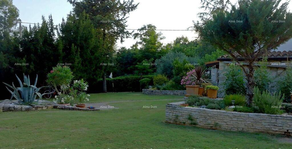 Gartenansicht mit einer großen Agave, weiteren Pflanzen und erhöhten Steinbeeten.