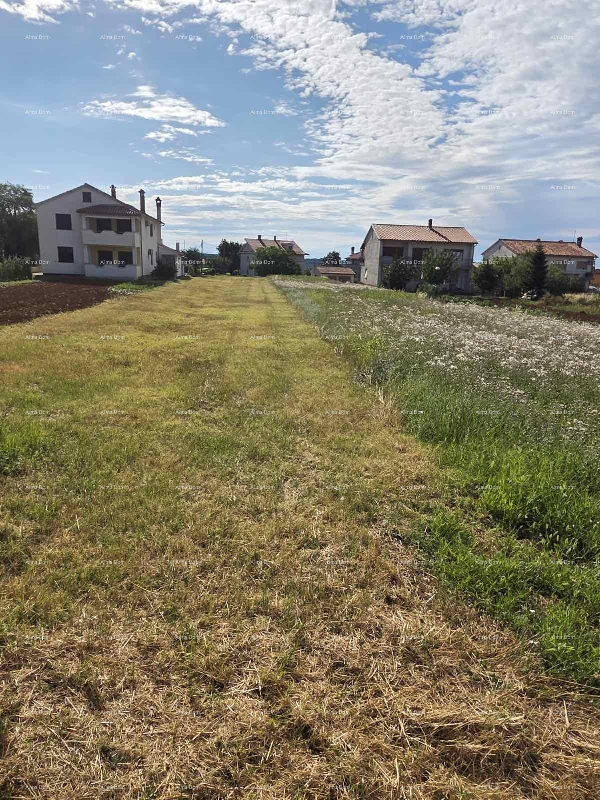 Weitläufiges Feld mit gemähtem Gras und Wildblumen, umgeben von Wohnhäusern unter blauem Himmel.