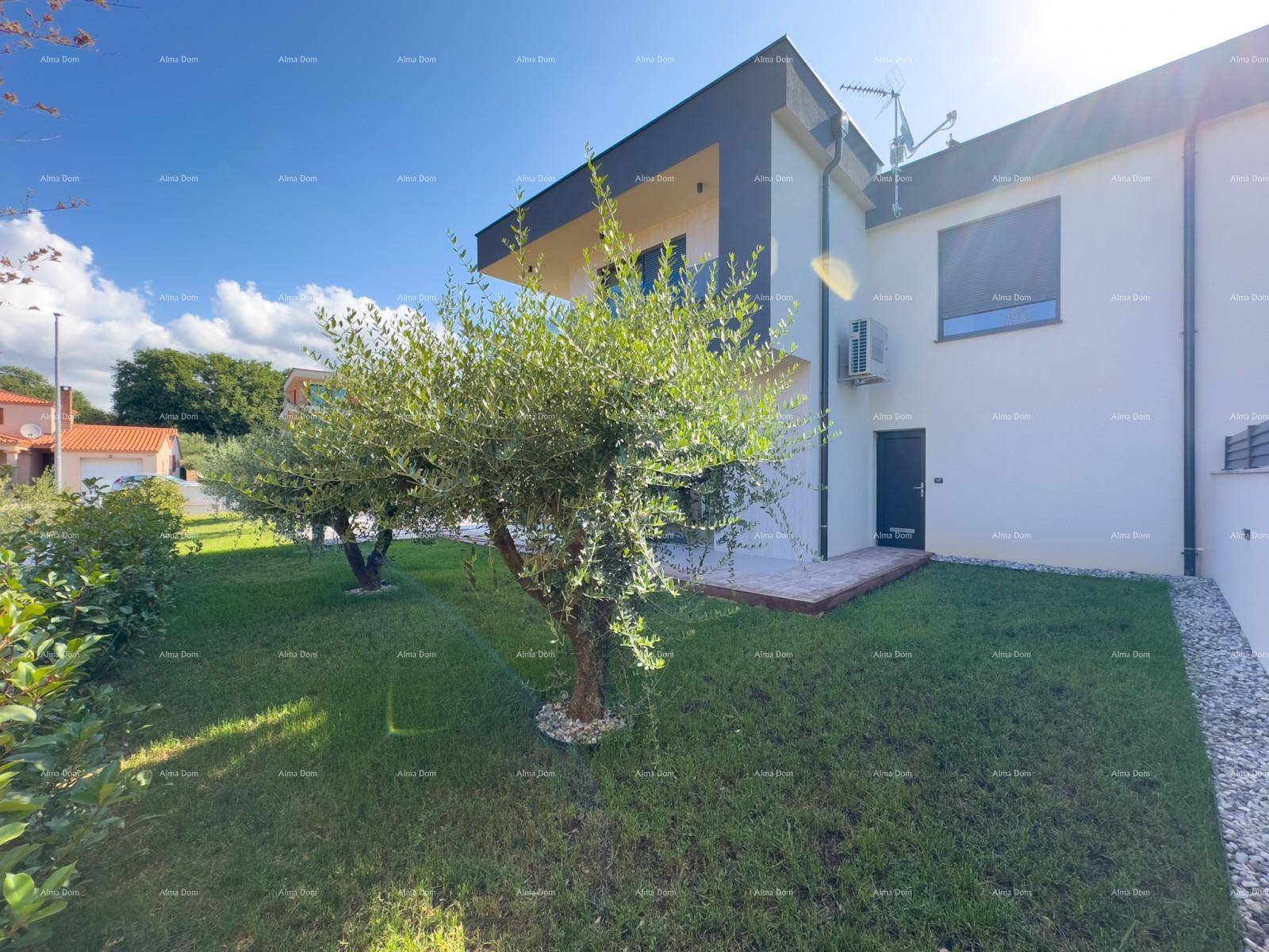 Seitenansicht der modernen Villa mit gepflegtem Rasen und jungen Olivenbäumen.