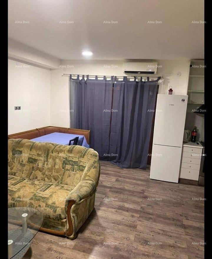 Kombinierter Wohn- und Schlafbereich mit Sofa, Bett und kleiner Küchenzeile.