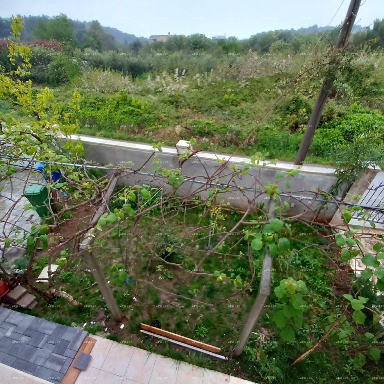 Blick von oben auf einen grünen Gartenbereich mit verschiedenen Pflanzen und Sträuchern.