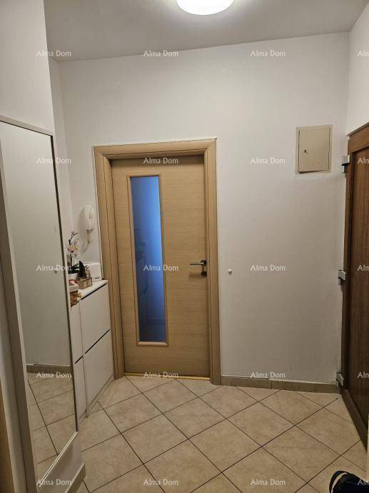 Eingangsbereich mit gefliestem Boden, Holztür mit Glaseinsatz und Schuhschrank.