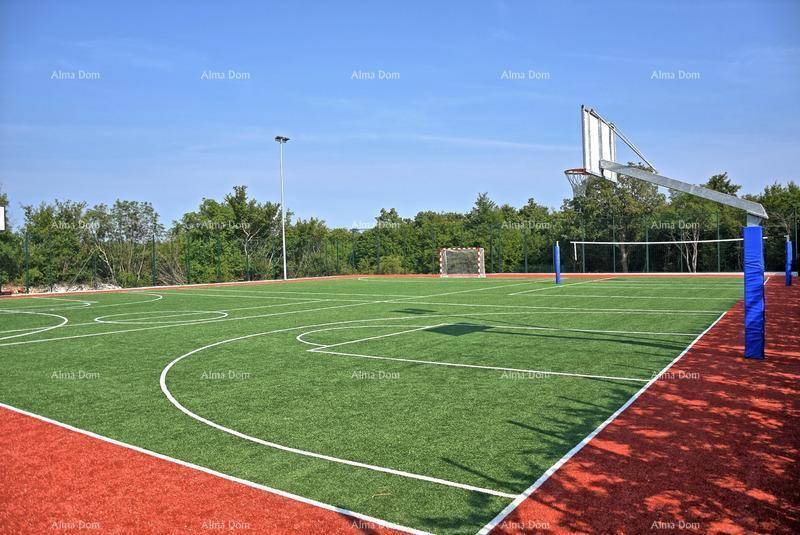 Großer Sportplatz mit Basketballkorb und Volleyballnetz, umgeben von Bäumen.