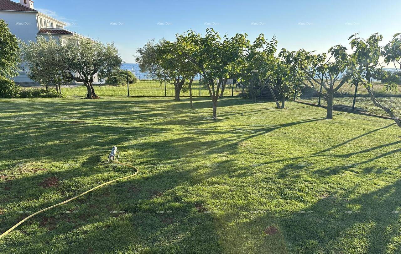 Gepflegter Garten mit Rasen, Obstbäumen und einem Bewässerungssystem, mit Meerblick im Hintergrund.