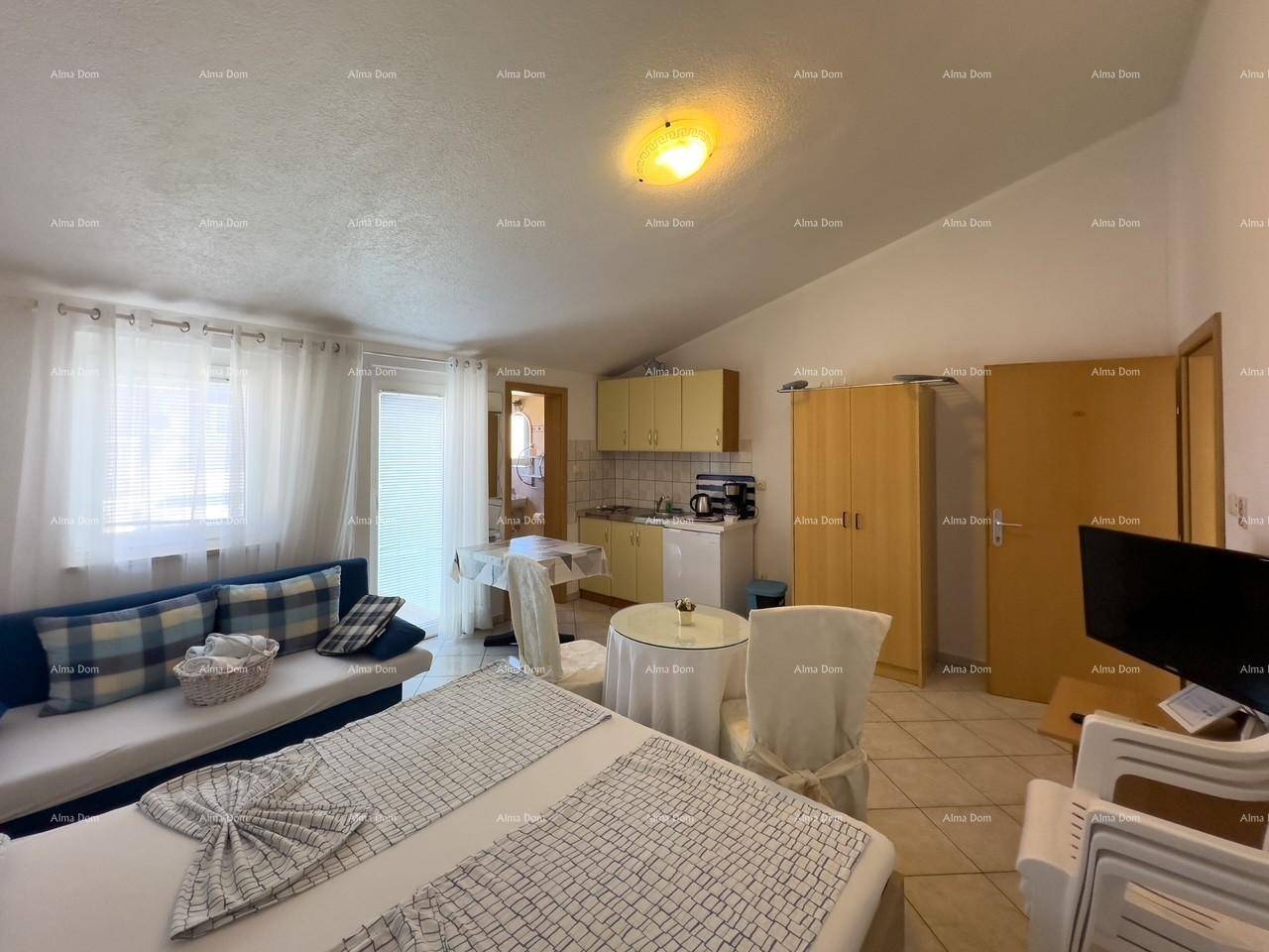 Geräumiges Studio-Apartment mit Schlafbereich, Wohnbereich und kleiner Küche.