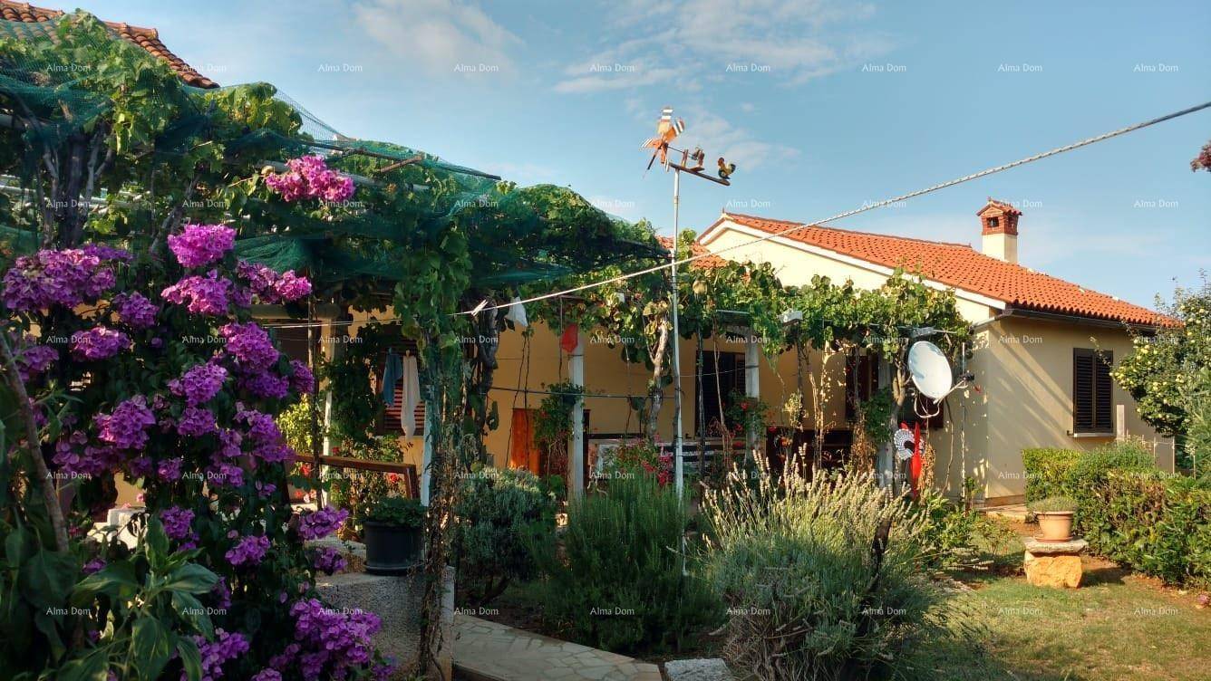 Charmantes Haus mit üppigem Garten, blühenden Pflanzen und überdachtem Außenbereich.