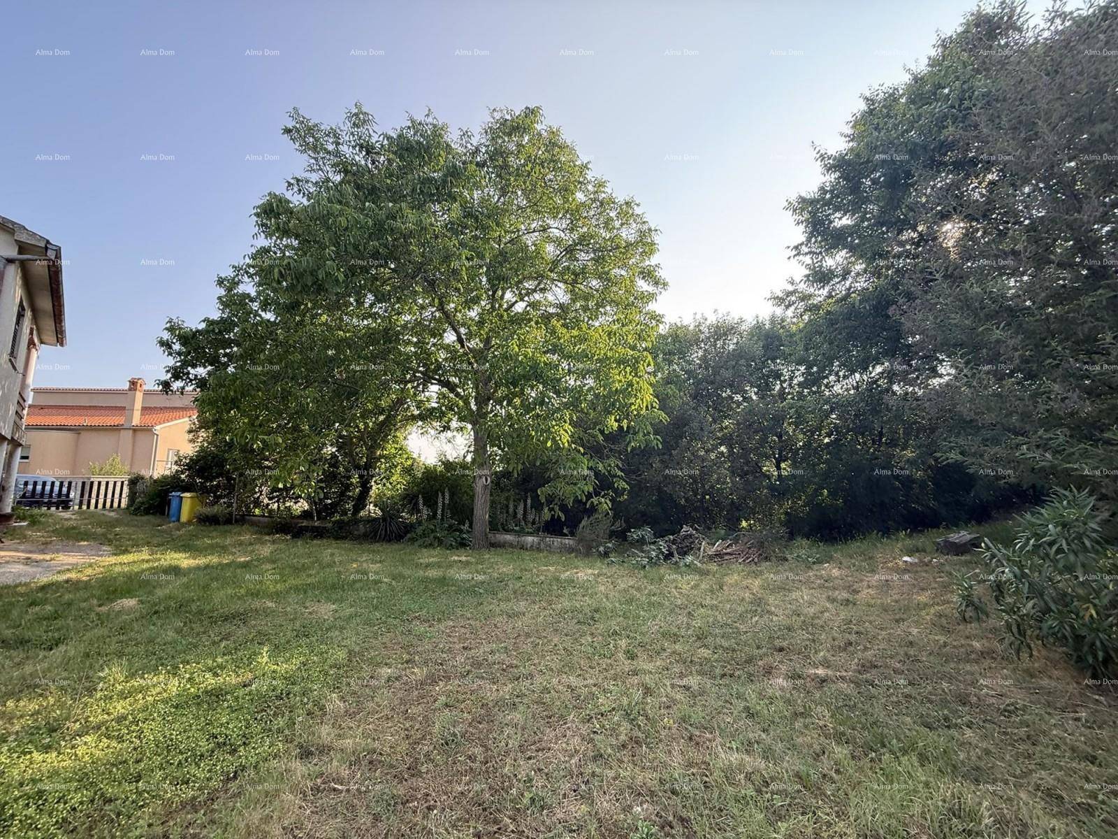 Großer Gartenbereich mit Rasenfläche und altem Baum unter blauem Himmel.