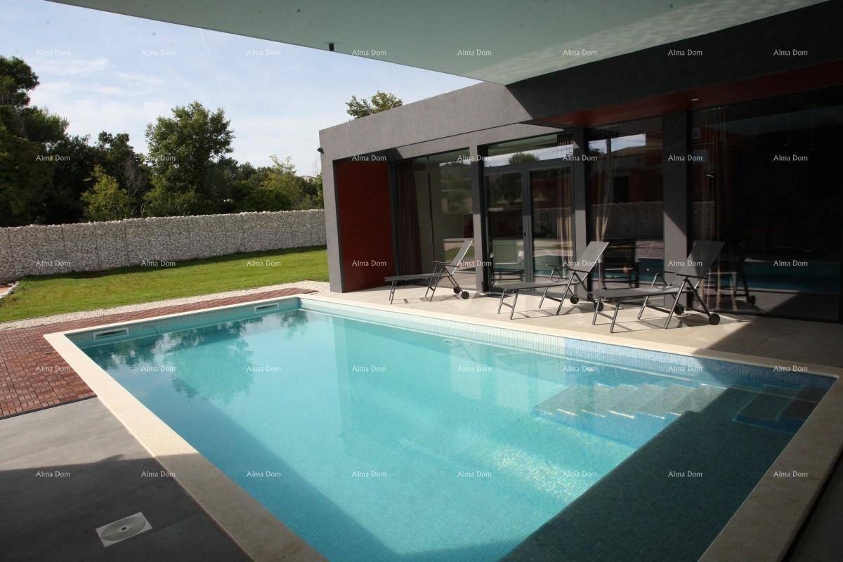 Heller Außenbereich mit Pool, Liegestühlen und Rasenfläche, umgeben von einer Steinmauer.