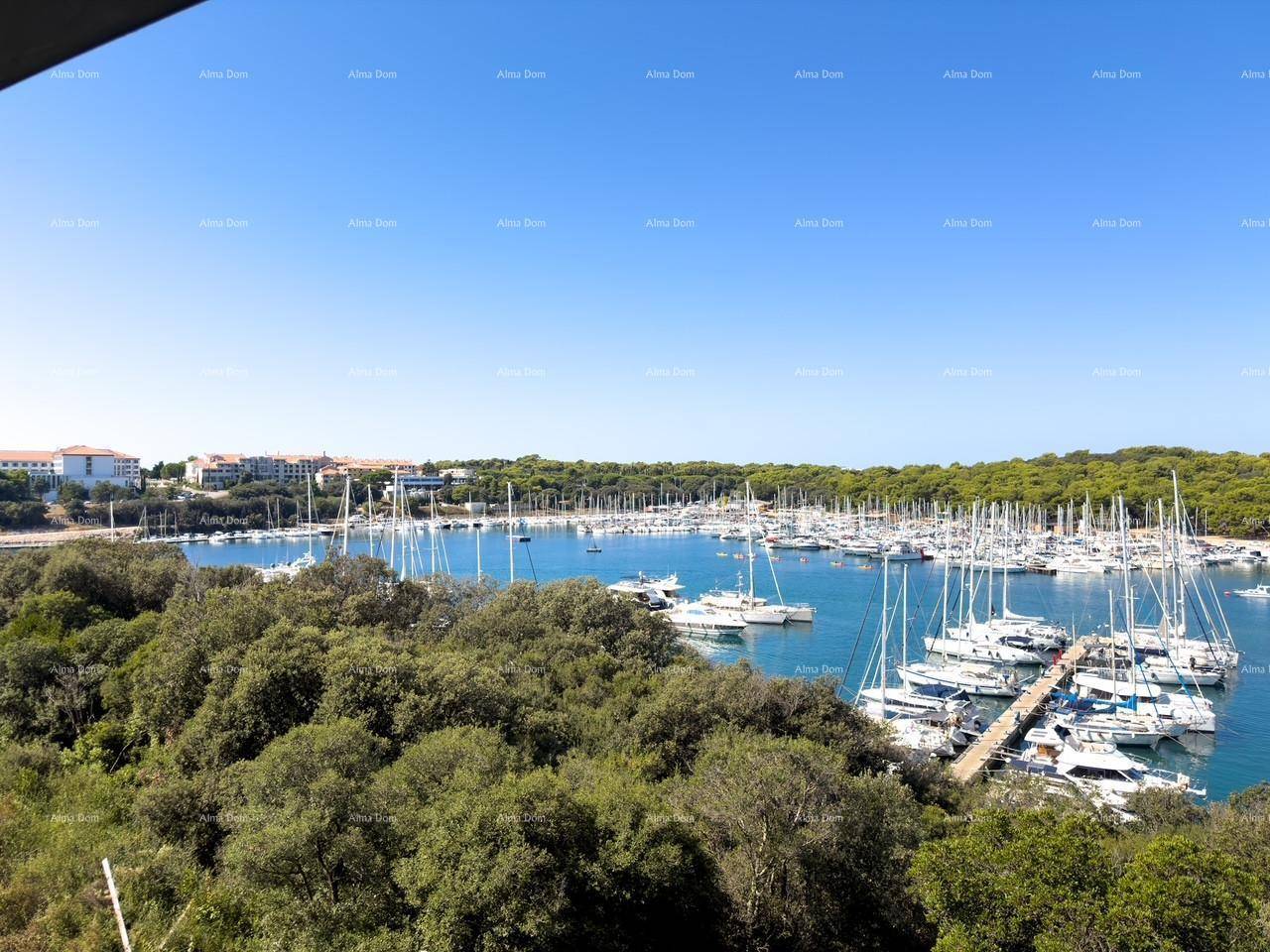 Panoramablick auf den belebten Yachthafen mit zahlreichen Booten und der grünen Küstenlinie.