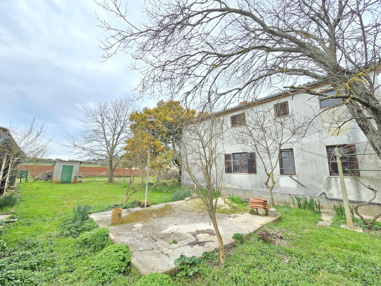 Rückansicht des Hauses mit großem Garten und einer unbefestigten Terrasse unter bewölktem Himmel.