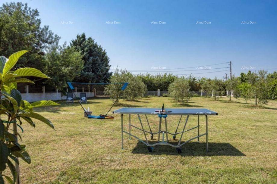 Großer Garten mit Tischtennisplatte und weiteren Outdoor-Spielgeräten unter blauem Himmel.