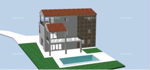 Slide 8