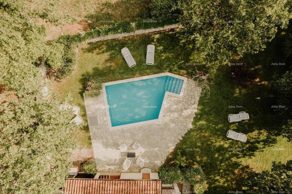 Luftaufnahme eines Anwesens mit einem blauen Swimmingpool, umgeben von einer Steinterrasse und üppigem Grün.