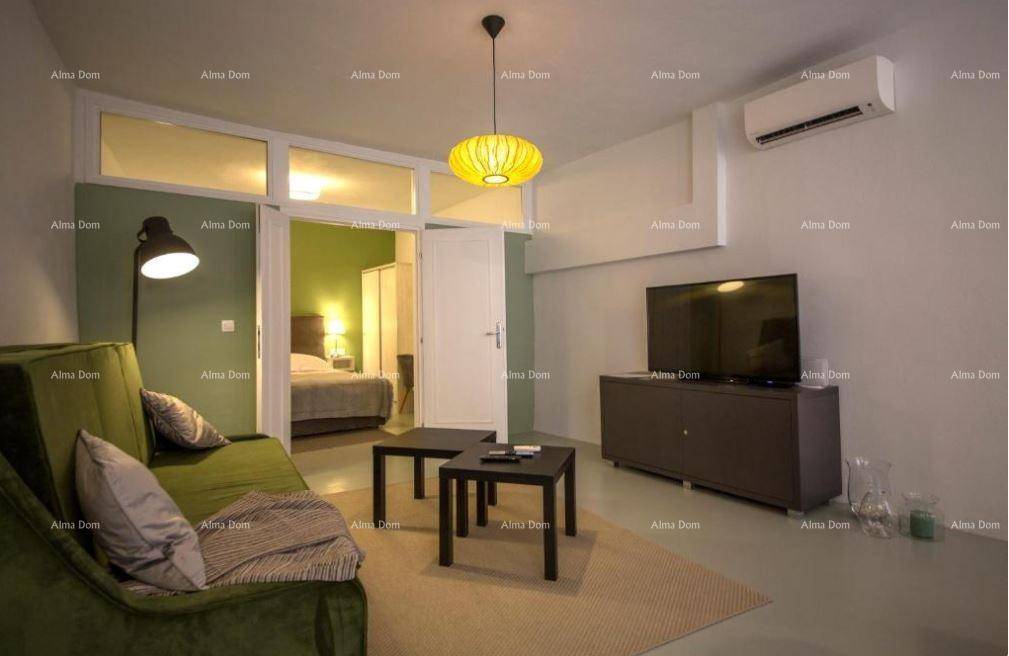 Wohnbereich mit bequemer Couch, Fernseher und offener Verbindung zum Schlafzimmer.