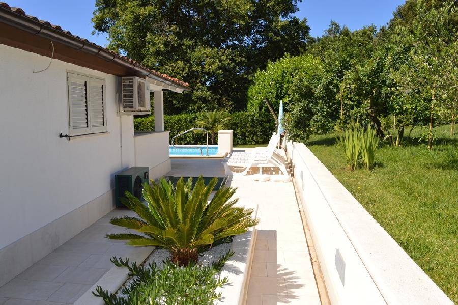 Seitlicher Gartenbereich mit Palmen und gepflegtem Rasen, im Hintergrund ist der Pool sichtbar.