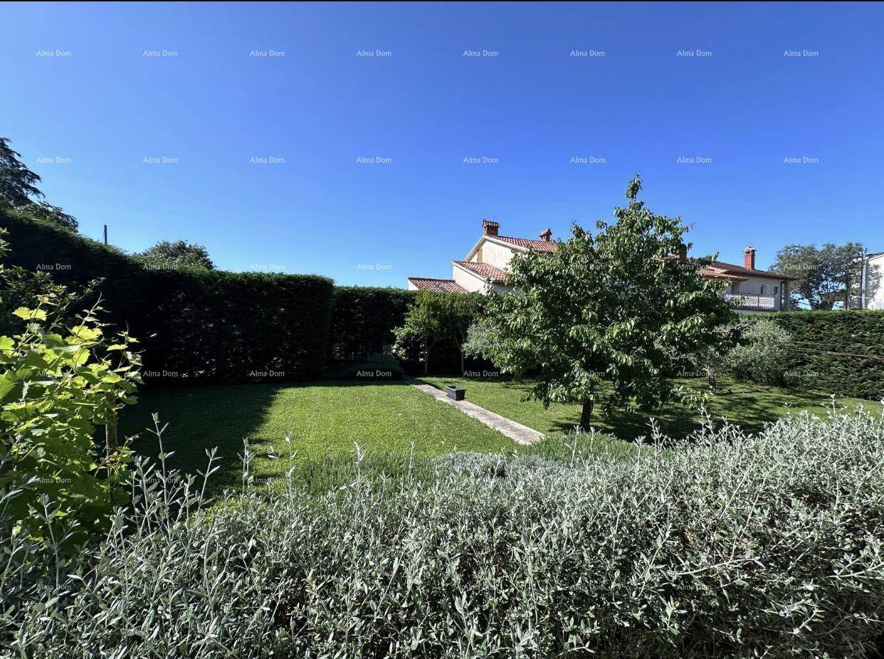 Weitläufiger Garten mit Rasenfläche, Büschen und Blick auf das Wohngebäude im Hintergrund.