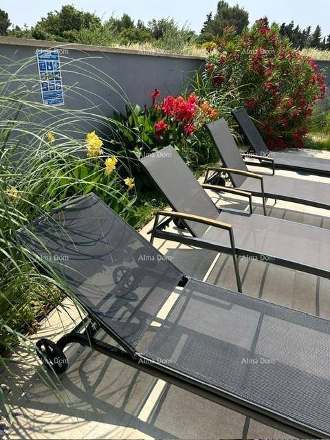 Bequeme Sonnenliegen am Pool, umgeben von blühenden Pflanzen und mediterraner Vegetation.