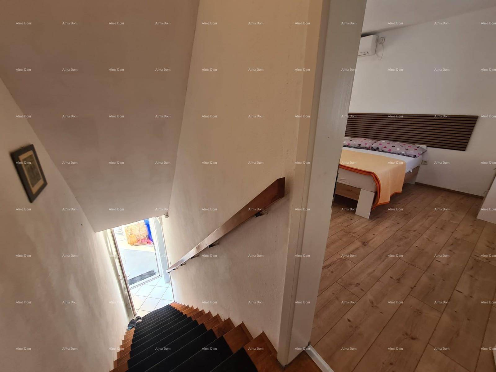 Treppenhaus mit Holzstufen und Handlauf, führt zu den unteren Wohnbereichen.