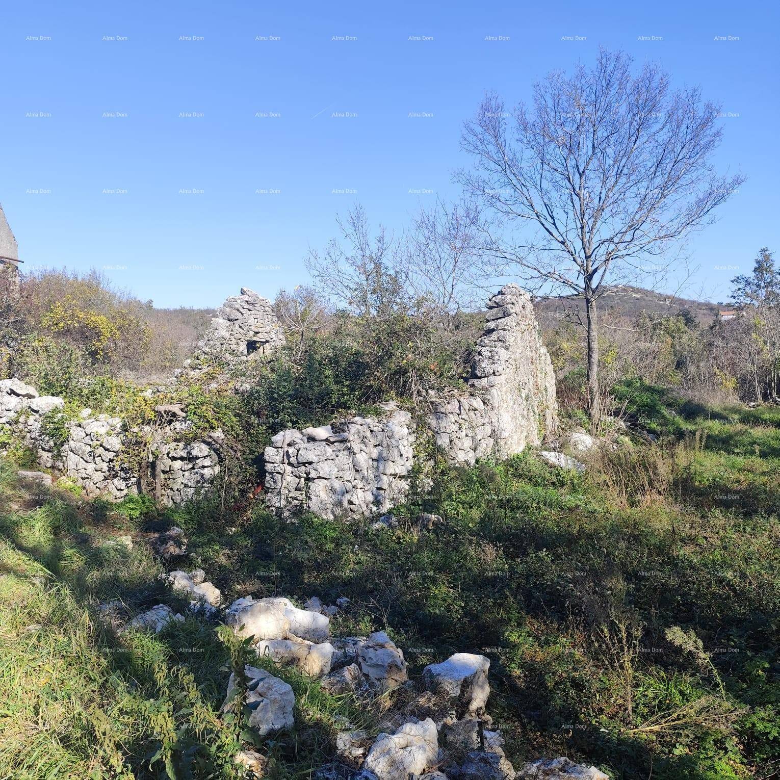 Überwachsene Steinmauern und Ruinen in einer natürlichen, unberührten Landschaft.