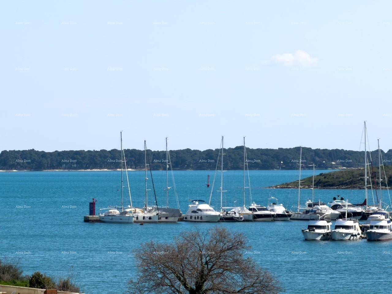 Detailansicht des Yachthafens mit Segelbooten und der Küstenlinie im Hintergrund.