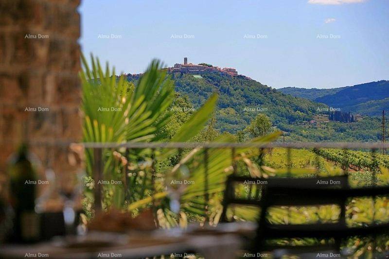 Malerischer Blick von der Terrasse auf eine historische Stadt, Weinberge und grüne Hügel.