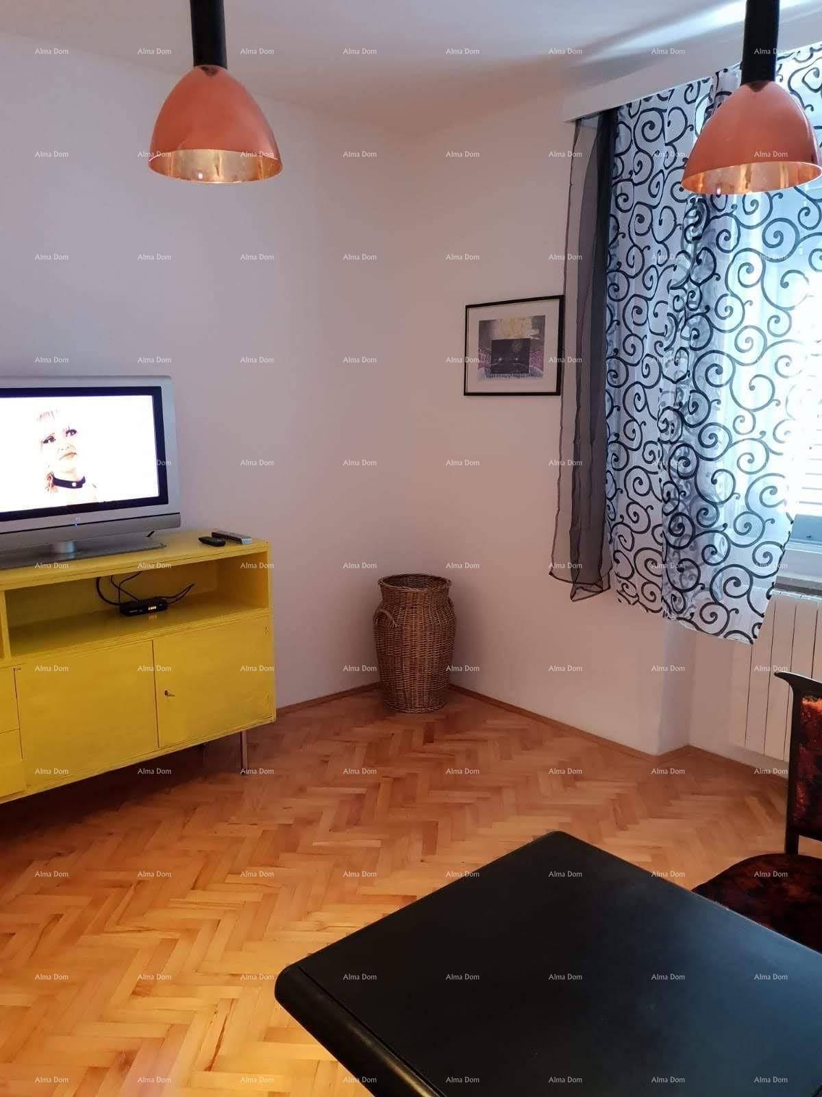 Gemütliches Wohnzimmer mit Holzboden, bunten Vorhängen und viel natürlichem Licht durch das Fenster.